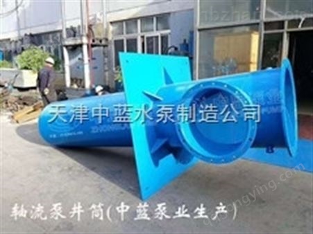 新一代潜水轴流泵 新中蓝泵业厂家