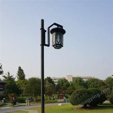 景观灯庭院灯 LED路灯 小区花园照明 可定制 街道景区用