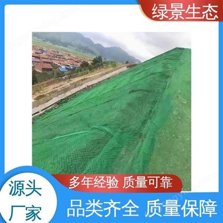 抗水土流失 防护三维植被网 绿色加筋型塑料 按需定制 绿景