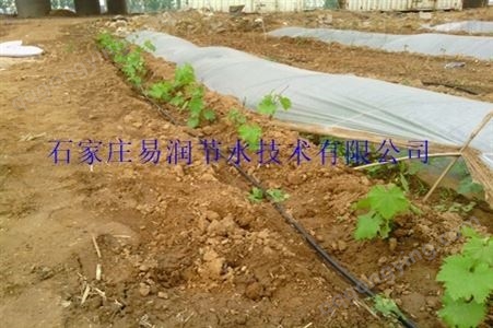 北京花卉滴灌蔬菜滴灌当然要选浇水塑料管